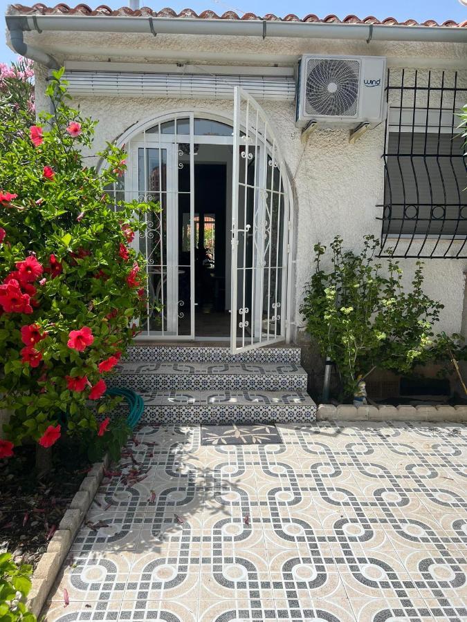 Holiday Apartments Torrevieja Esterno foto